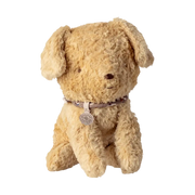 Petit chiot sable doux
