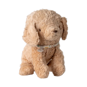Petit chiot Dusty Powder