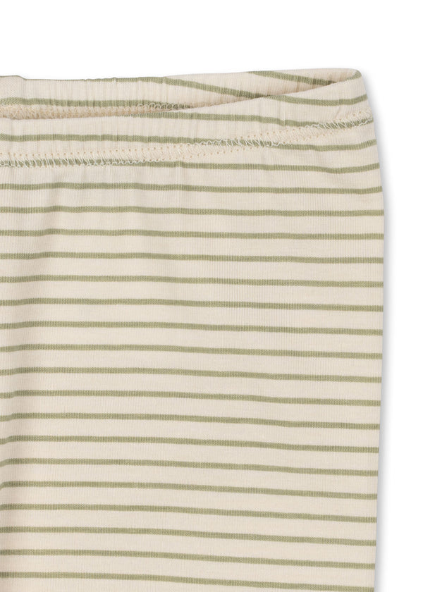 Basic Hose Tea Stripe