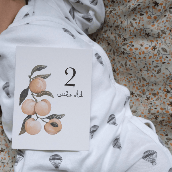 Konges Slojd Milestone Karten | Milestone Card | Beluga Kids