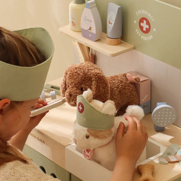 Tierarztpraxis aus Holz Grün