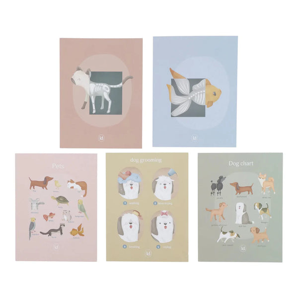 Tierarztpraxis aus Holz Grün