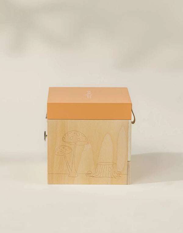 Music Souvenir Box Nature