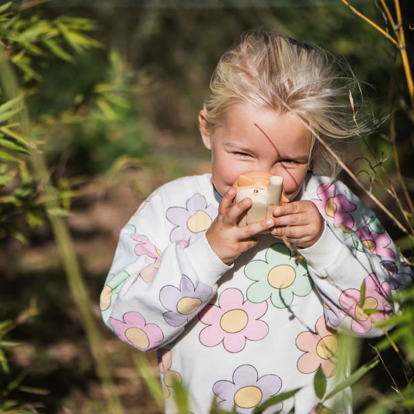 Ensemble talkie-walkie Zoo Fox