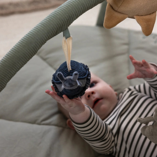 jouet d'activité grenouille/abeille/escargot 