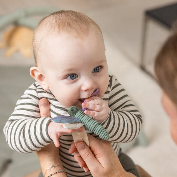 Aktivitätsspielzeug Blume/Libelle/Schwan