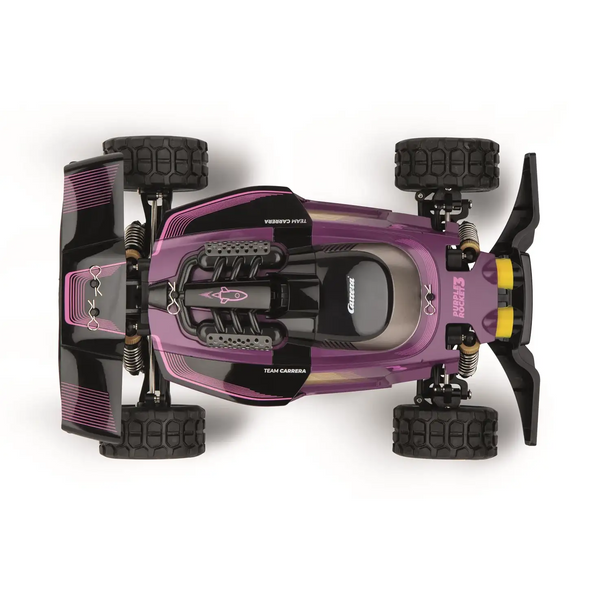 1:18 R/C Purple Rocket PX Profi 2.4 GHz Digital Proportional