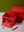 Aufbewahrungsbox Medium Rot