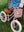 Pin & Ride Korb Raspberry