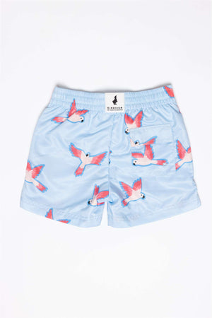Kindisch Badehose Parrot – Detailansicht Bund