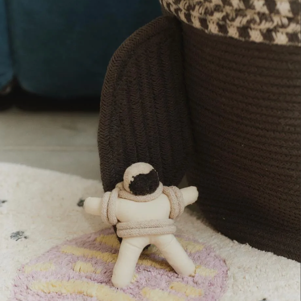 Panier de rangement pour fusée