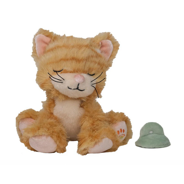 Binky Kitten Koda Ginger