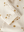 Leggings Coconut Milk / Flower Yellow