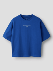 T-Shirt Surf the Web