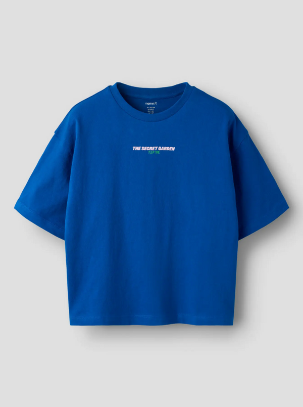 T-Shirt Surf the Web
