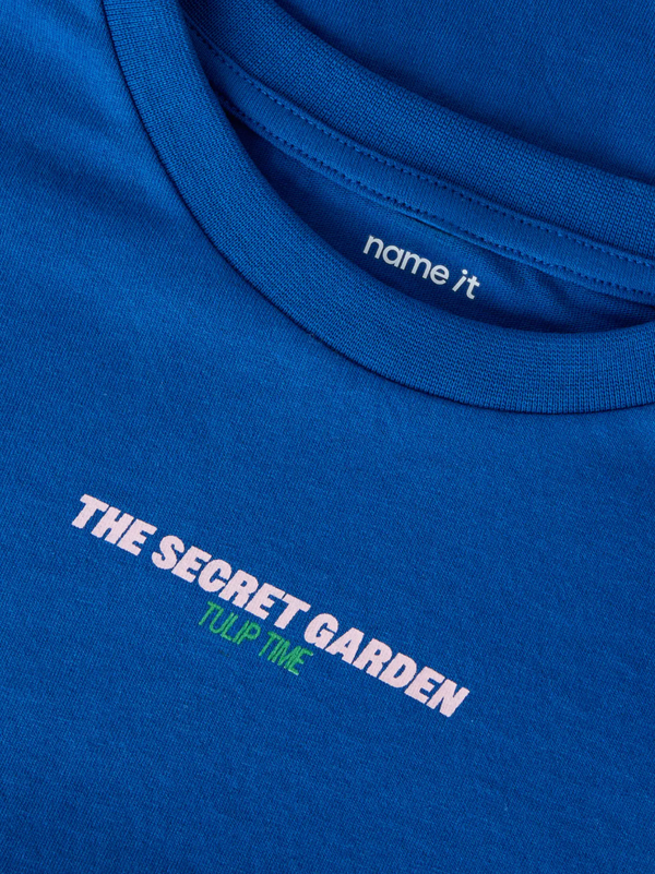 T-Shirt Surf the Web