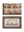 Triplets baby mice in matchbox