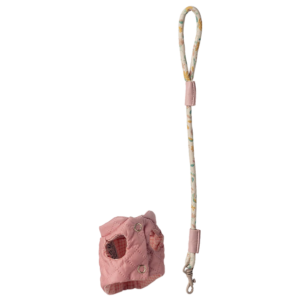 Haustierhalsband und Leine Rosa