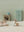 Triplets baby mice in matchbox