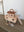 Ausstellung: Arche Noah