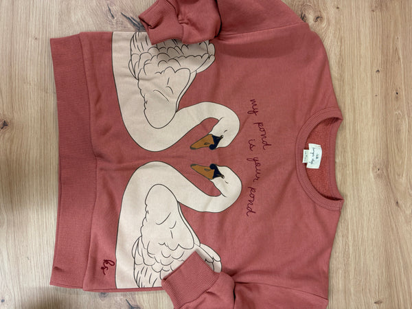 Give a Chance: Lou Sweatshirt Canyon Rose Gr. 104