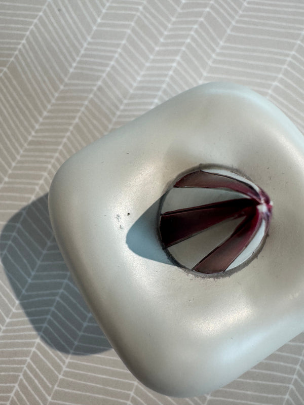 Ausstellung: Zahnbox Tooth Off White