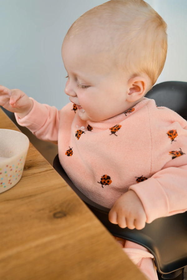 Terry Bib "Boo" Love Bugs