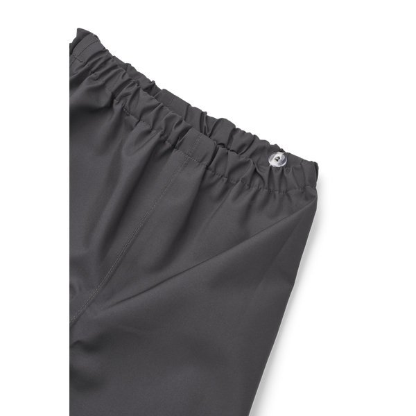 Ensemble Pedia Rain Panda / Sandy