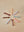 3-Pack Baby Spoons Mellow Dusty Green