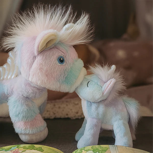 Binky Unicorn Dream Rainbow