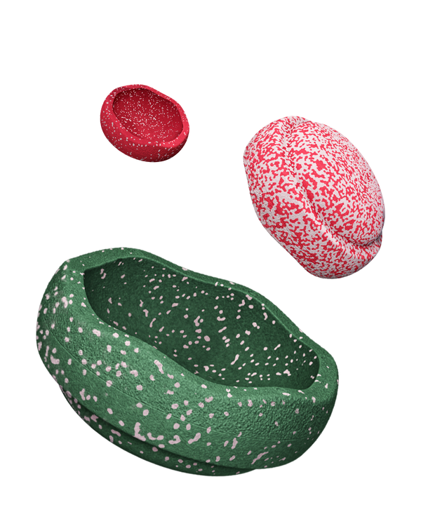 Édition limitée : Coffret Trilogie Blush Stapelstein®