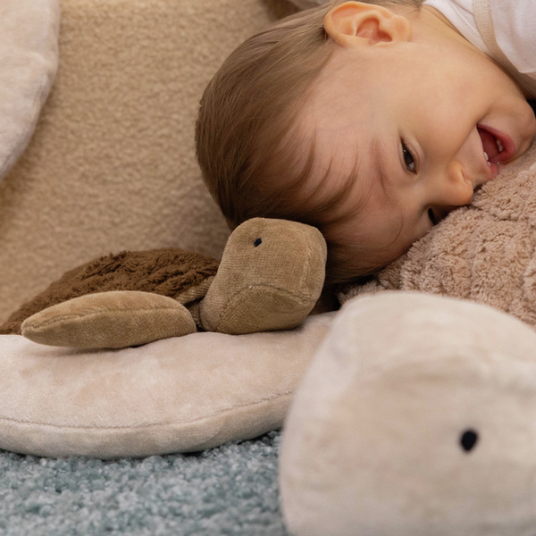 Kuscheltier Schildkröte klein braun