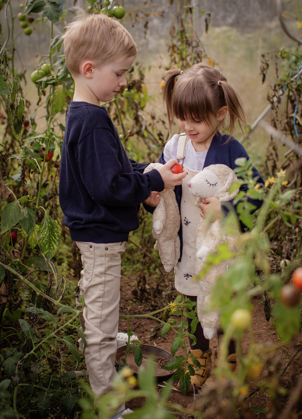 Kuscheltier Schaf Gross Leinen