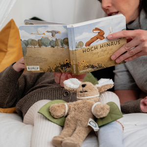 Buch Senger erzählt "Hoch hinaus"
