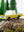 Candylab Toys Coyote Pickup mit wasserbasierten Farben