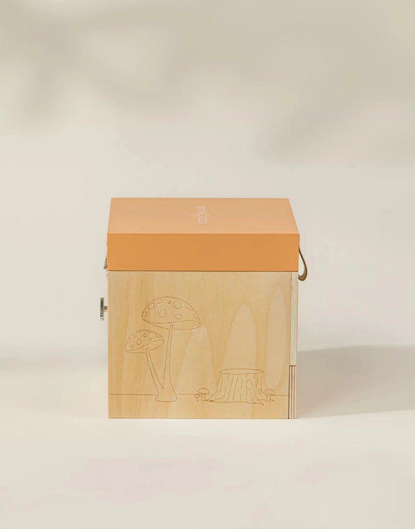 Music Souvenir Box Nature