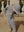 Fender Jacke, Cap und Overall von Konges Sløjd im Naval Stripe
