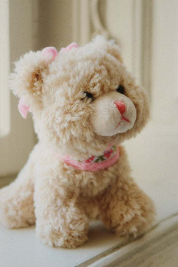 Aktivitäts-Kätzchen