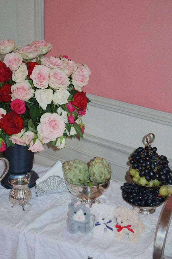 Bébés animaux « Chat gris »