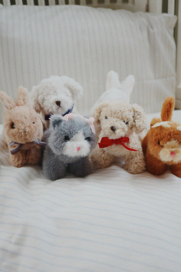 Bébés animaux « Chat gris »