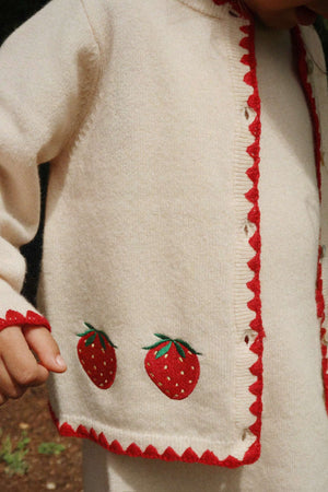 Eingestickte Erdbeeren auf dem Collette Kleid von Konges Sløjd