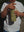 Bouteille isotherme Kick it Green
