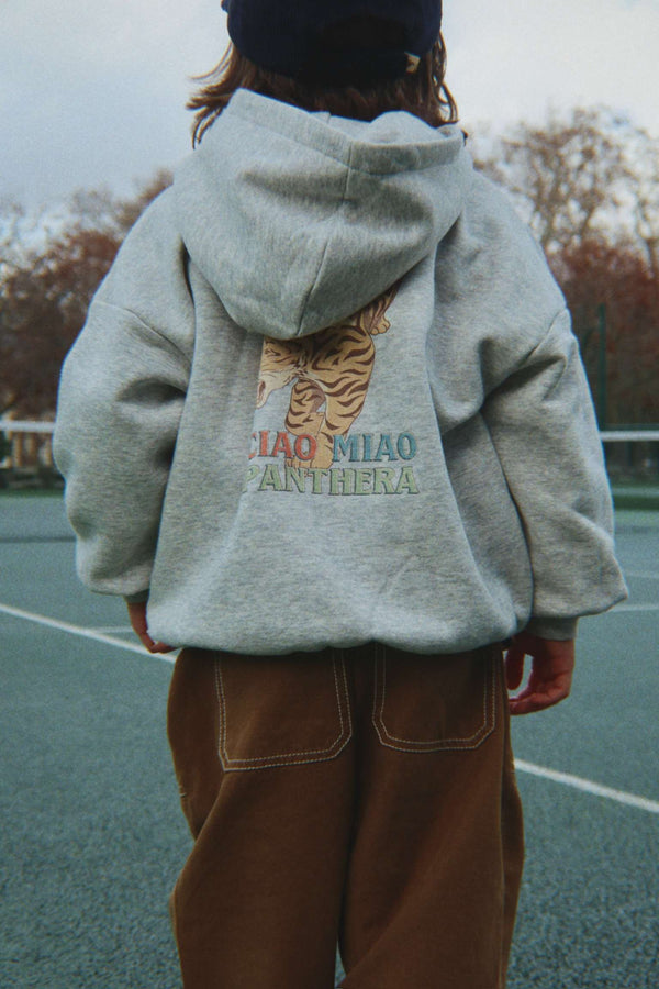 Sweat à capuche zippé Lou gris chiné