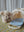Mini-Kuscheltier Hund Take Care of Me von Konges Sløjd mit Häuschen