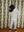 Sweathose Spotty Tocororo Stripe