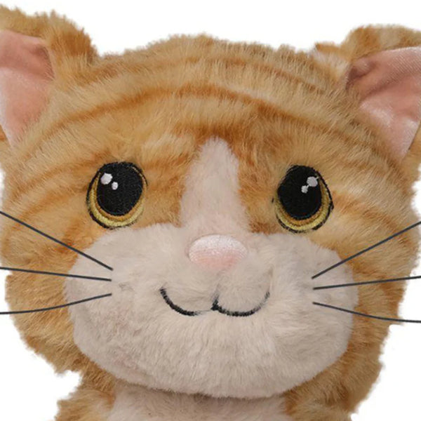 Dinkum Cat Binx Gingembre