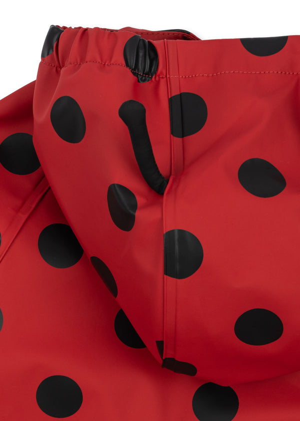 Cinelle Regenset Lady Dot