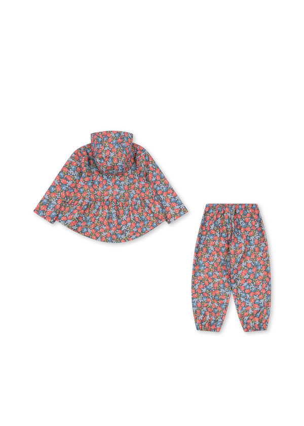 Faire Regenset Violets are Blue