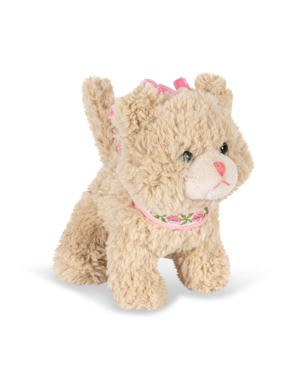 Aktivitäts-Kätzchen