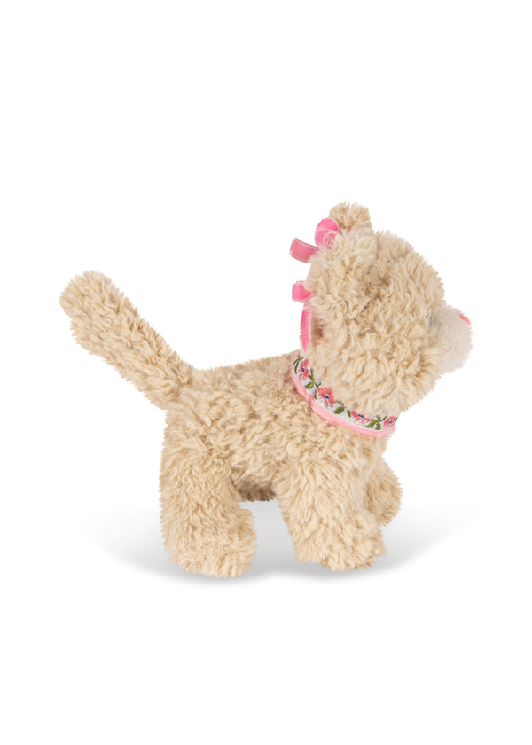 Aktivitäts-Kätzchen